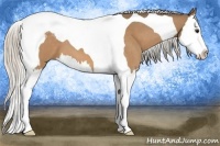 Horse Color:Silver Buckskin Roan Splash Tobiano 