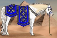 Horse Color:Silver Classic Champagne Dun Splash Frame