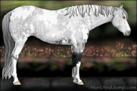 Horse Color:White Spotted Brown Chinchilla Ice 