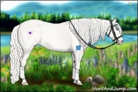 Horse Color:Cremello Dun Sabino 