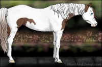 Horse Color:Chestnut Splash Tobiano