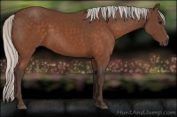 Horse Color:Silver Brown Frame 