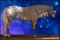 Horse Color:Liver Chestnut Ice 