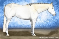 Horse Color:White Spotted Gold Cream Champagne Dun 