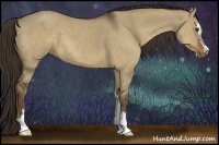 Horse Color:Liver Red Dun Sabino 