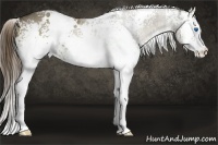 Horse Color:White Spotted Liver Red Dun Splash 