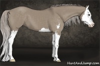 Horse Color:Silver Grullo Sabino Splash