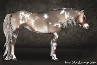 Horse Color:White Spotted Silver Blue Onyx