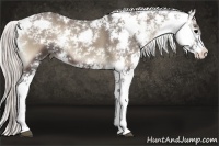 Horse Color:Silver Blue Onyx Sabino 