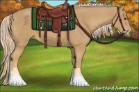 Horse Color:Palomino 