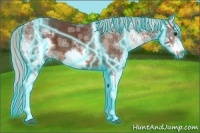 Horse Color:Thunderstruck White Spotted Silver Bay Ice Sabino Frame