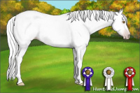 Horse Color:Gray Silver Classic Champagne Sabino Tobiano Rabicano