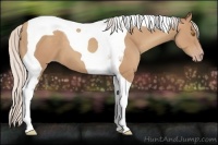 Horse Color:Silver Classic Champagne Tobiano 