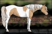 Horse Color:Silver Classic Champagne Tobiano