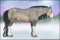 Horse Color:Buckskin Ice Sabino Splash Rabicano