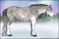 Horse Color:Brown Ice Sabino Rabicano 