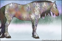 Horse Color:Nacre White Spotted Brown Ice