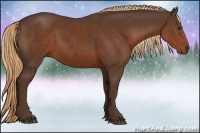 Horse Color:Liver Chestnut Sabino