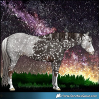 Horse Color:Liver Chestnut Snowflake Varnish 