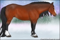 Horse Color:Brown Sabino