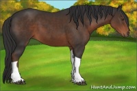 Horse Color:Liver Chestnut Tobiano Rabicano 