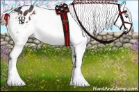 Horse Color:Liver Chestnut Sabino Appaloosa 