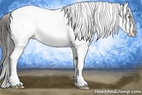 Horse Color:Liver Chestnut Sabino Splash Appaloosa 