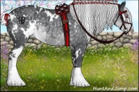 Horse Color:White Spotted Silver Black Chinchilla Sabino 