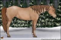 Horse Color:Brown Pearl