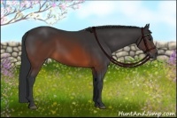 Horse Color:Brown 
