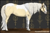 Horse Color:Gold Cream Champagne Splash Tobiano 