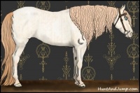 Horse Color:Buckskin Roan Pearl  and Amber Cream Champagne Roan Pearl 