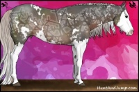 Horse Color:White Spotted Silver Black Ice Splash Rabicano