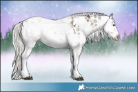 Horse Color:Liver Red Dun Mushroom Sabino Rabicano Brindle