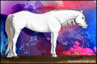 Horse Color:Grullo Onyx Appaloosa