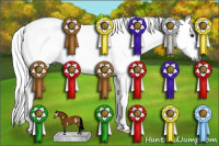 Horse Color:Gray White Spotted Silver Buckskin Roan