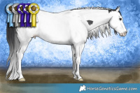 Horse Color:Black Splash Tobiano Rabicano