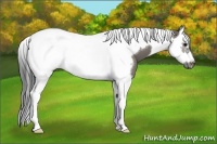 Horse Color:Smoky Grullo Splash Tobiano Frame 