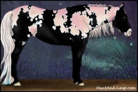 Horse Color:Watercolor White Spotted Chocolate Palomino Onyx Sabino Splash