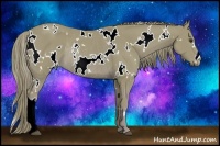 Horse Color:Watercolor White Spotted Chestnut Rabicano 