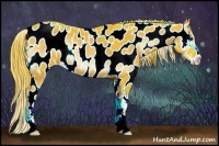 Horse Color:Watercolor Liver Red Onyx Sabino Appaloosa 