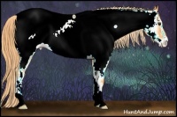 Horse Color:Watercolor Chocolate Palomino Onyx Sabino Appaloosa 