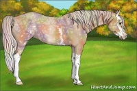 Horse Color:Nacre White Spotted Silver Bay Ice Dun Splash 