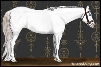 Horse Color:White Spotted Chocolate Palomino Roan Splash Varnish 