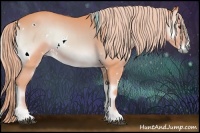 Horse Color:Watercolor White Spotted Palomino Onyx Rabicano 