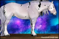 Horse Color:Watercolor White Spotted Palomino Onyx Rabicano
