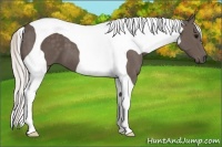 Horse Color:Silver Black Tobiano