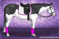 Horse Color:Black Splash Rabicano