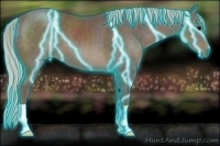 Horse Color:Thunderstruck Silver Black 
