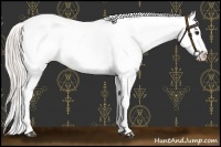 Horse Color:Silver Bay Splash Appaloosa 